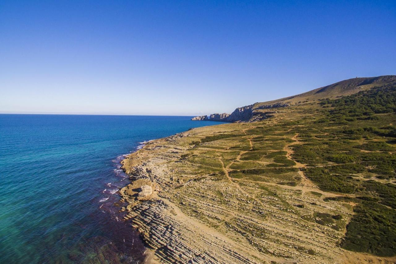 Ideal Property Mallorca - Sol De Mallorca 1 كالا ميسكويدا المظهر الخارجي الصورة